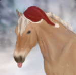 Golden Star Ridiing