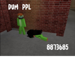 Dum ppl