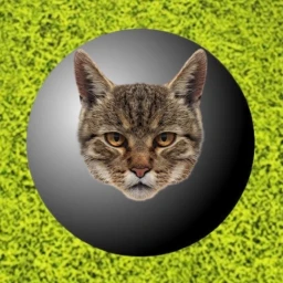 Animal PNG Mayhem icon
