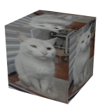 Funny Cat Box