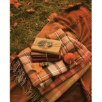 Timberly Games
