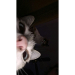 0nlyyKat's hub