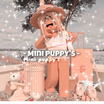 Mini pupies