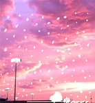 Cotton candies hangout