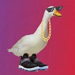 Drip Duck Studios