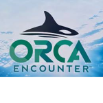 Orca Eencounter