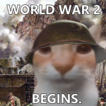 Happy smiles of nekos / ceejhay2020