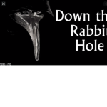 Down The Rabbit Hole mysterys