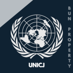 UN (NY) International Court of Justice Staffs