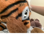 Rrrr18