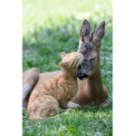 Odd people friends