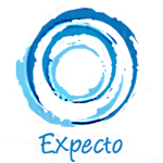 Expecto Airlines