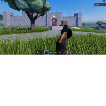 Castle gun war.