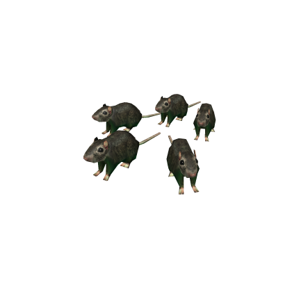 Flayed Rats Roblox item