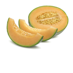 MELON lol