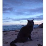 _.._The Fishing Spot _.._