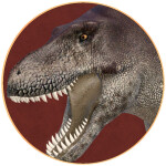 DWM Development Server 1