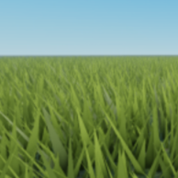 A literal Field.