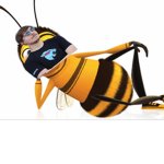 Matt ZXD Fan Boys