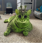 Cats And Rats At Home