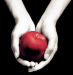 Twilight Fandom
