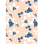 blueberrys clothes