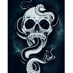 The Order of Dark Arts