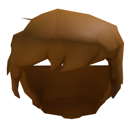 Shaggy Hair Roblox NoFilter