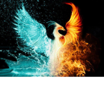 SilverPhoenix Studios