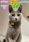 Play Felix Games