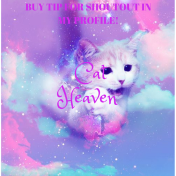 Beautiful Cat Heaven