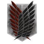 [E/D] Special Operations Squadron