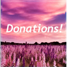 DONATIONS! ( Game Passes )