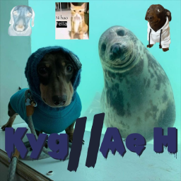 Kyg // Ae H