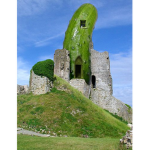 The Pickle Kingdom.