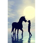 Horse club :) horses are awesome!