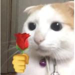 土匪動物幫