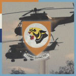 19 Eskader Suid-Afrikaanse Lugmag