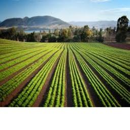 detailed farm land