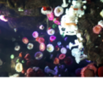 Gecko's Hideout