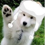 bap bip boop