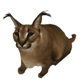 Концерт icon