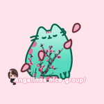 Angelina's nice group