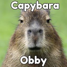 Capybara obby
