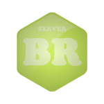 Server BR