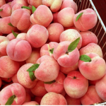 peachy.chloe