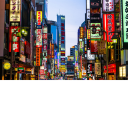 Tokyo Paradise