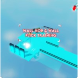 Wallhop & Wall flick ladder flick training