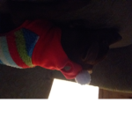 Gus my doggy dog hangout place dogs dogs dogs woof
