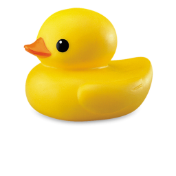 D3M DUCKS HOTEL